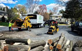 Best Tree Health Inspection  in Lyons, WI