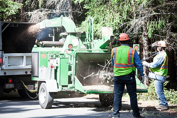 Lawn Watering Services in Lyons, WI